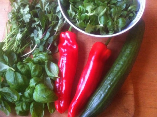 Spicy Herbs and Beef Salad