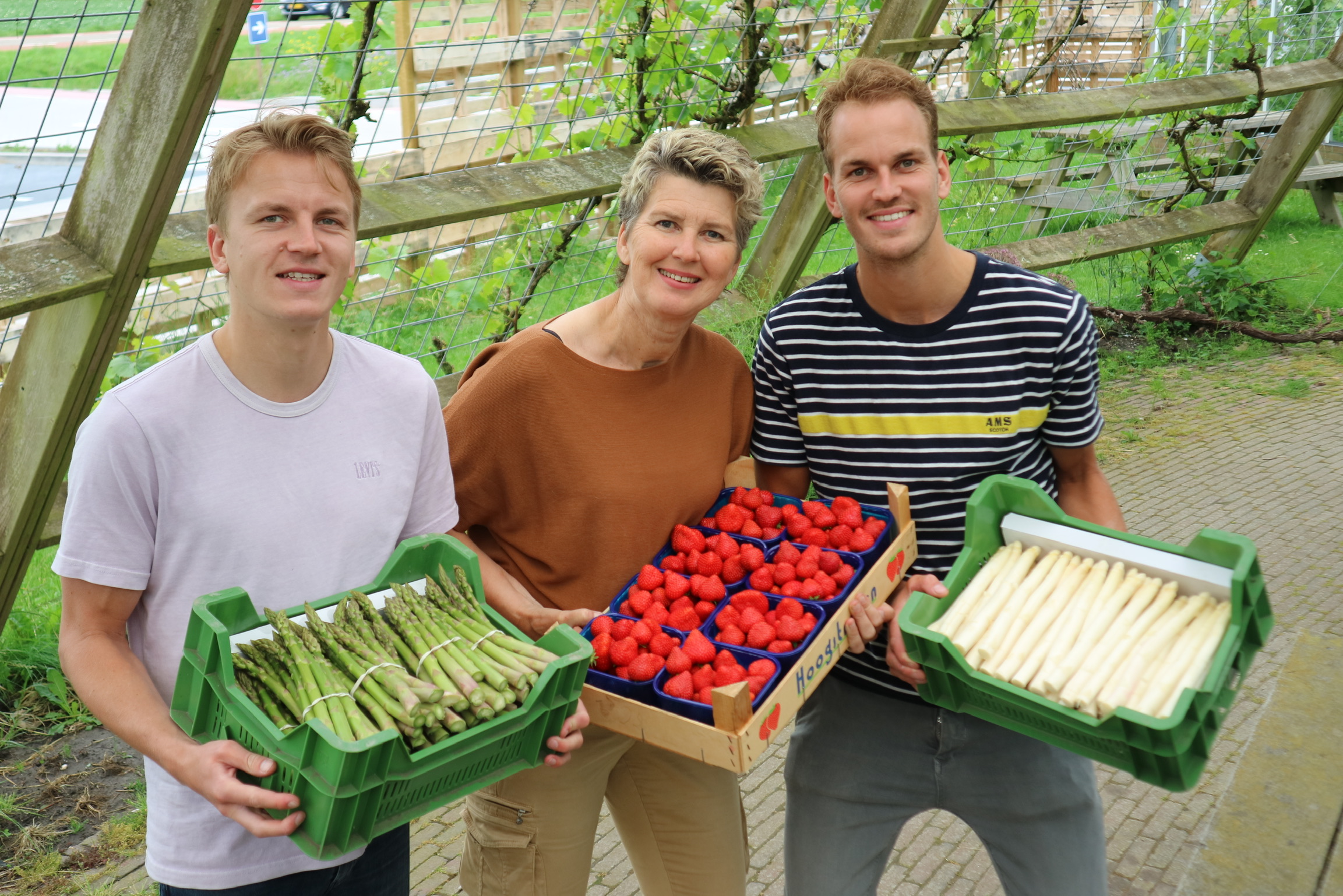 Broers voegen aspergeteelt toe aan familiebedrijf